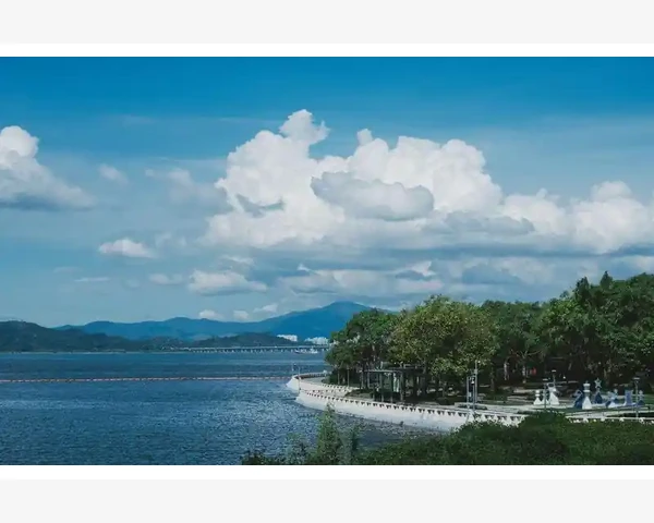 清肺白排毒汤：舒展呼吸，呵护肺健康
